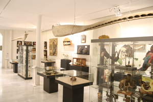 Foto del artículo «Apertura del Museo los domingos»