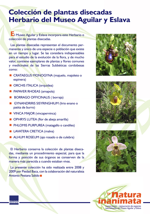 La natura inanimata. Conservación-restauración de especies naturalizadas (foto 8 de 30)