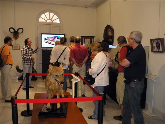 Foto 1 de 3 del artículo «Visita de la Asociación de Amigos del Patrimonio histórico y museístico del Instituto…»