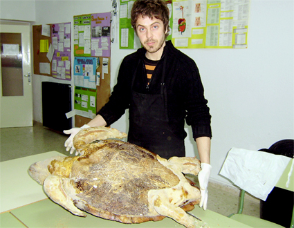 La natura inanimata. Conservación-restauración de especies naturalizadas (foto 23 de 30)