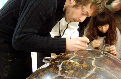 La natura inanimata. Conservación-restauración de especies naturalizadas (foto 26 de 30)
