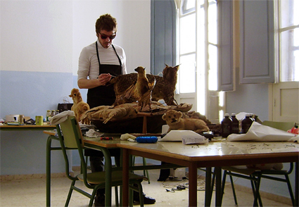 La natura inanimata. Conservación-restauración de especies naturalizadas (foto 30 de 30)
