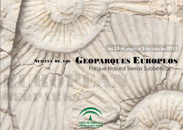 Foto 3 de 6 del artículo «Día Internacional de los Museos y Semana de los Geoparques Europeos en el Museo Aguilar y…»