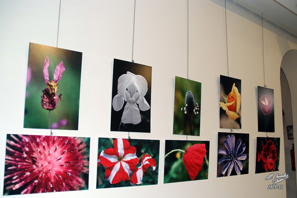 Foto 2 de 8 del artículo «Exposición fotográfica con motivo del Día Internacional de los Museos»