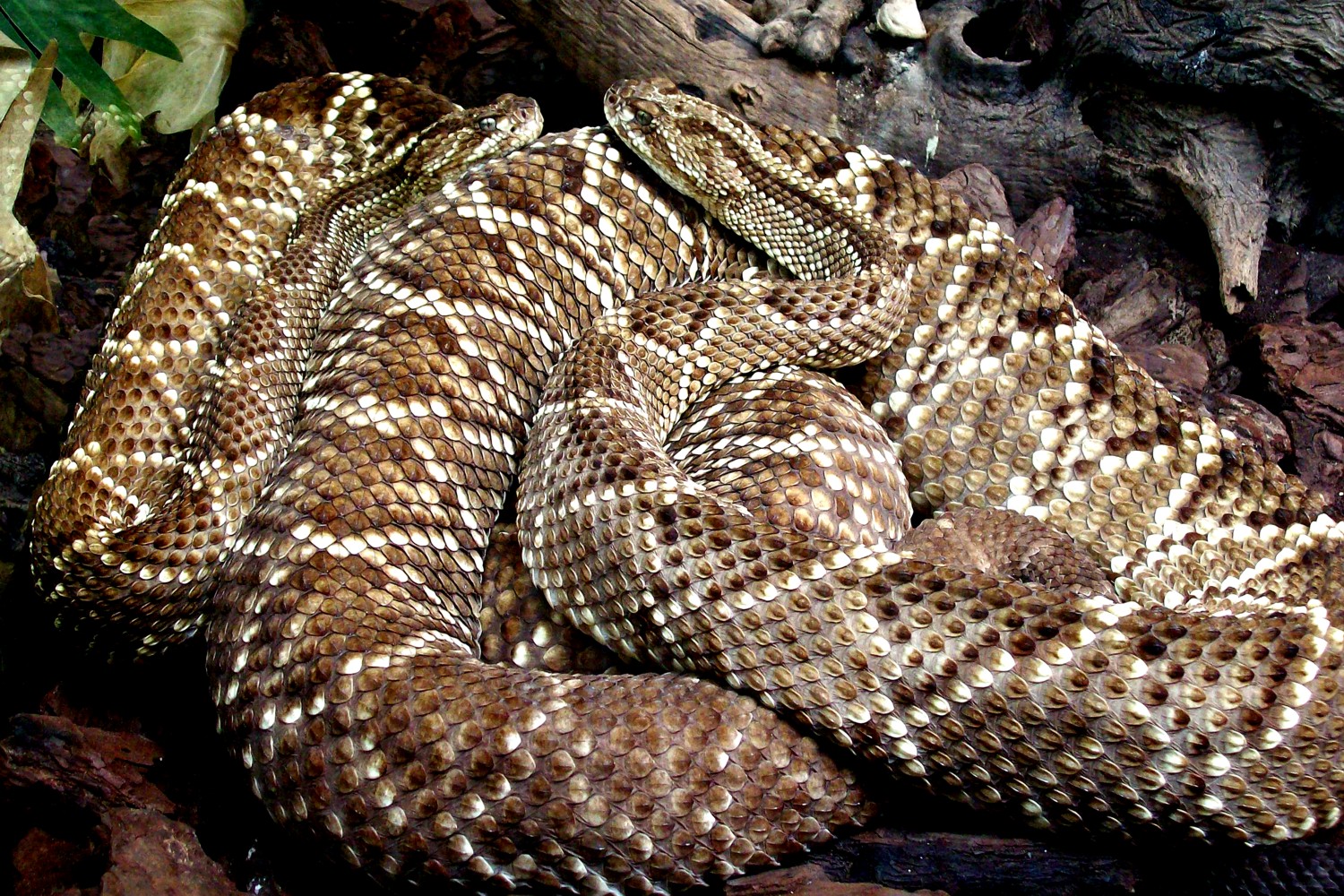 Foto 3 de 8 del artículo «Exposición fotográfica con motivo del Día Internacional de los Museos»