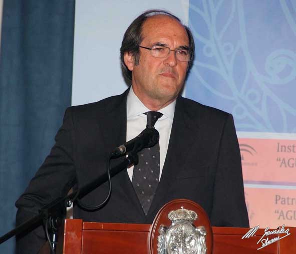 Foto 3 de 4 del artículo «El Gobierno aprueba el ingreso en la Orden Civil de Alfonso X el Sabio de la Asociación…»