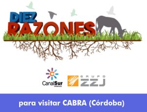 Foto del artículo «El Museo y el Instituto Aguilar y Eslava en Diez Razones para conocer Cabra»