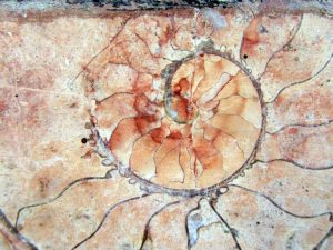 Foto 1 de 3 del artículo «Tras los seres petrificados de la ciudad de Cabra»