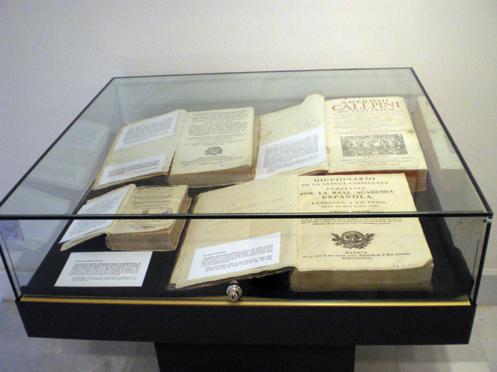 Diccionarios (foto 2 de 6)