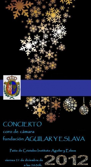 Concierto del Coro de Cámara por la Purísima (2012)