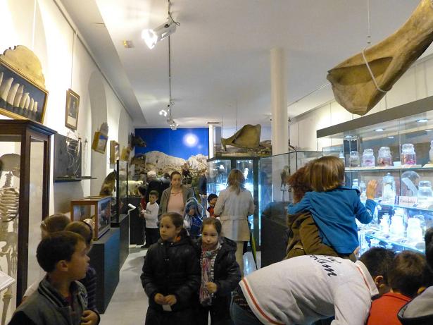 Foto 1 de 4 del artículo «Niños y niñas disfrutan de los títeres y descubren el Museo»