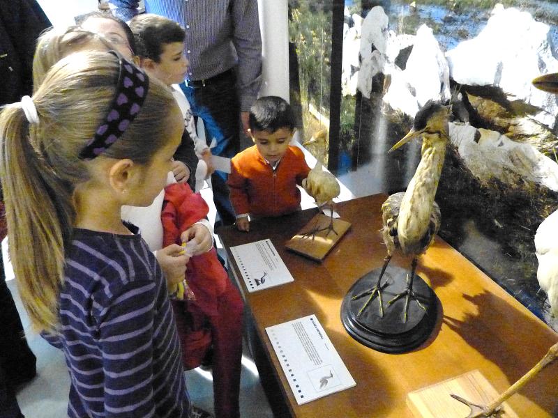 Foto 4 de 4 del artículo «Niños y niñas disfrutan de los títeres y descubren el Museo»