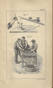 Foto 1 de 3 del artículo ««Cartilla vinícola» (1888)»