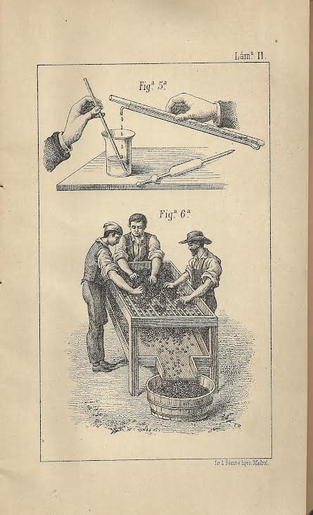 Foto 1 de 3 del artículo ««Cartilla vinícola» (1888)»