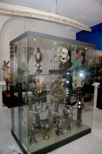 Foto del artículo «Nuevos proyectos para 2014»