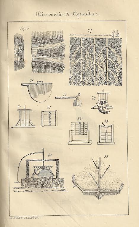 Foto 1 de 3 del artículo ««Atlas del diccionario de agricultura, practica y economia rural» (1855)»