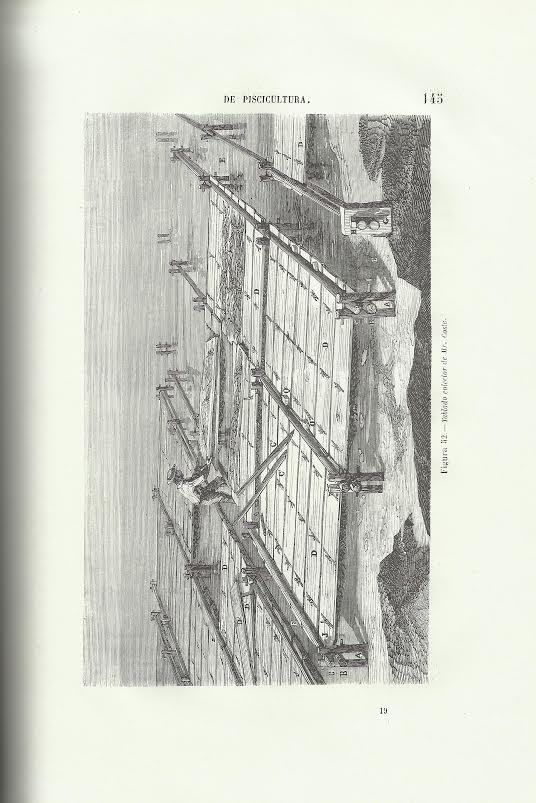 Foto 2 de 3 del artículo ««Manual práctico de piscicultura ó Prontuario para servir de guía al piscicultor en…»