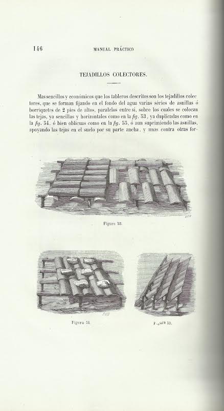 Foto 3 de 3 del artículo ««Manual práctico de piscicultura ó Prontuario para servir de guía al piscicultor en…»