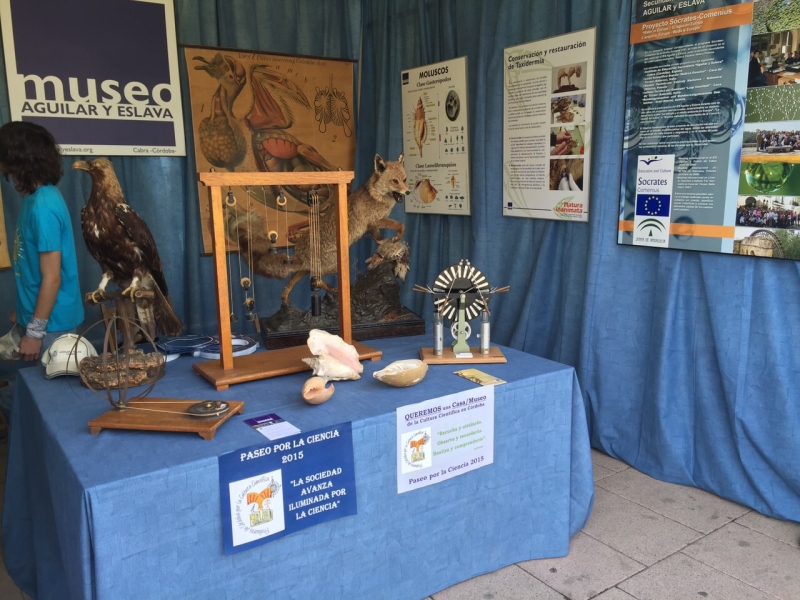 Foto 2 de 3 del artículo «El Museo Aguilar y Eslava en Paseos por la Ciencia 2015»