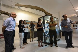 Foto del artículo «El Museo Aguilar y Eslava recibe la visita de los auditores del Geoparque Sierras…»