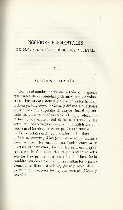 Foto 2 de 4 del artículo ««Compendio de arboricultura, aplicado a las plantaciones en las carreteras» por Luis…»