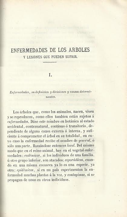 Foto 3 de 4 del artículo ««Compendio de arboricultura, aplicado a las plantaciones en las carreteras» por Luis…»