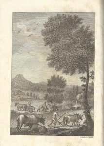 Foto 1 de 5 del artículo ««Cartilla agraria, o sea la práctica de la agricultura y de la ganadería», dispuesta por…»