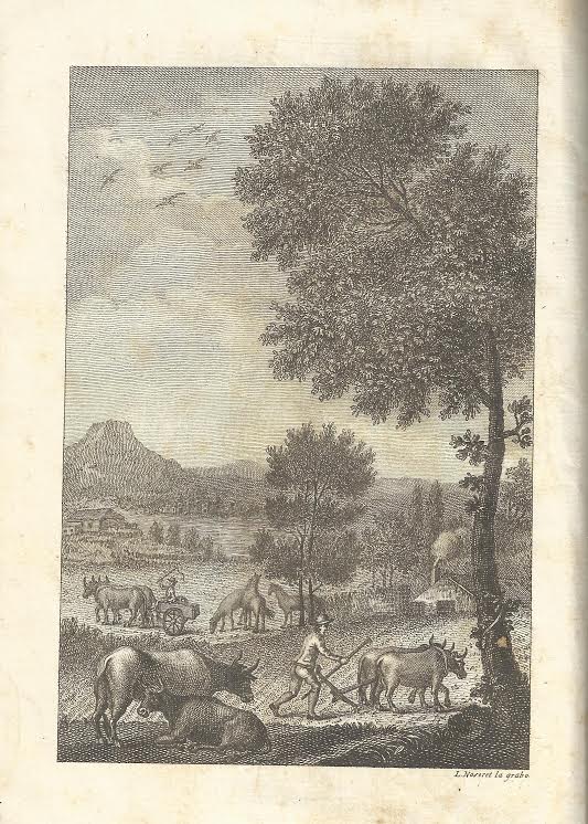 Foto 1 de 5 del artículo ««Cartilla agraria, o sea la práctica de la agricultura y de la ganadería», dispuesta por…»