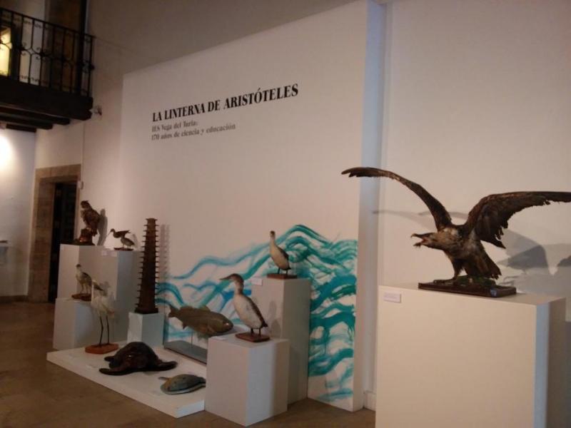Foto 7 de 7 del artículo «X Jornadas de Institutos Históricos de España en Teruel»