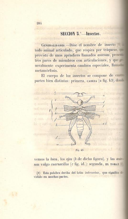 Foto 3 de 4 del artículo ««Ensayo de zoología agrícola y forestal» por Antonio Blanco Fernández (Madrid, 1859)»