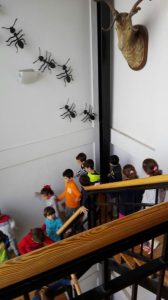 Foto 1 de 5 del artículo «Visitas escolares al Museo Aguilar y Eslava en el Día de Andalucía»