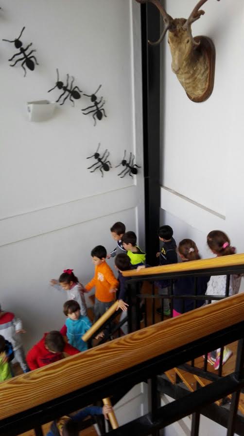 Foto 1 de 5 del artículo «Visitas escolares al Museo Aguilar y Eslava en el Día de Andalucía»