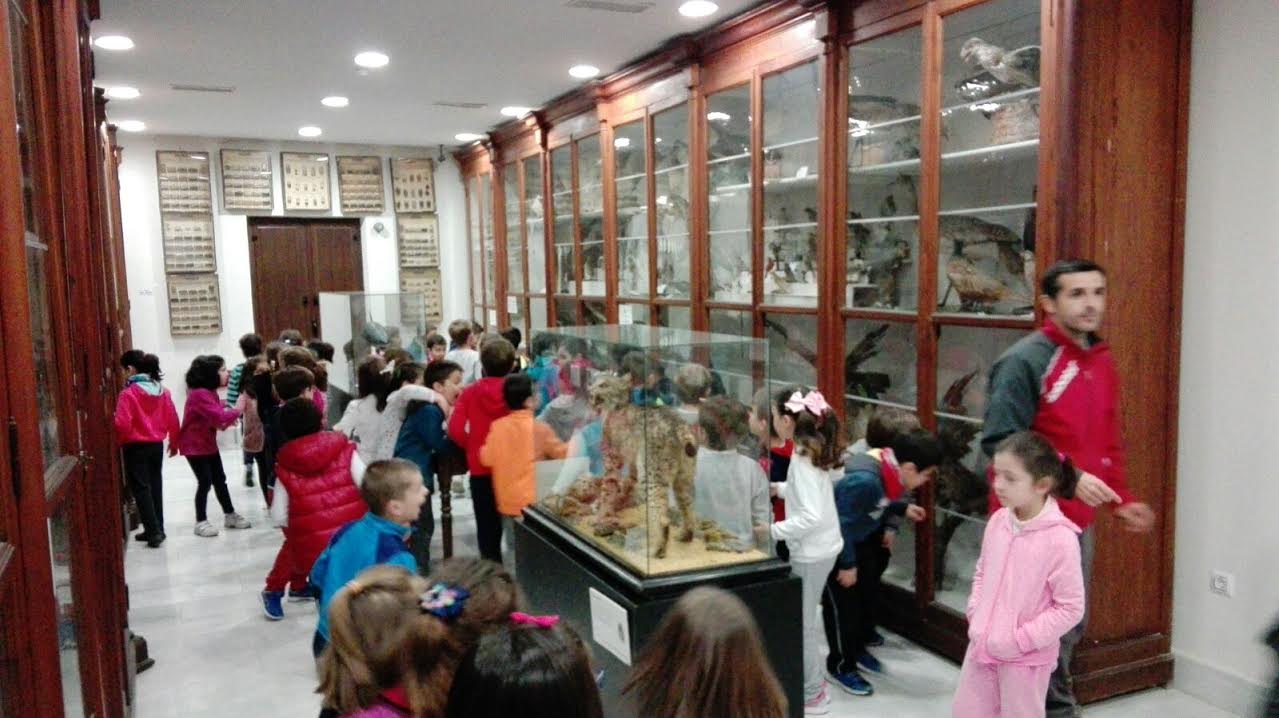 Foto 3 de 5 del artículo «Visitas escolares al Museo Aguilar y Eslava en el Día de Andalucía»