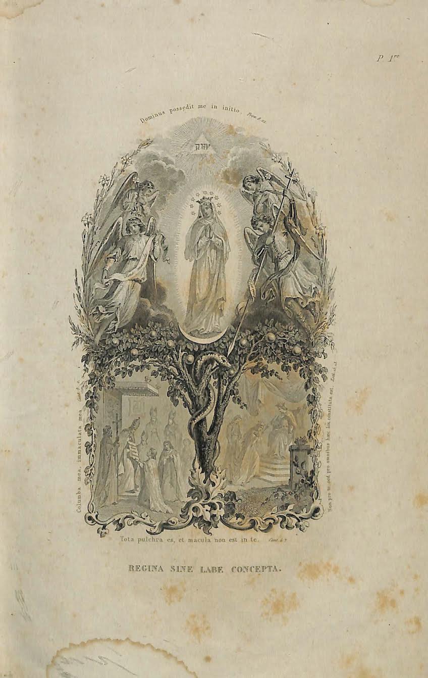 Foto 2 de 7 del artículo ««Corona poética de los españoles a su excelsa e inmaculada patrona la Santísima Virgen…»