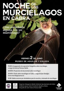 Foto del artículo «Noche de los murciélagos en el Museo Aguilar y Eslava de Cabra»