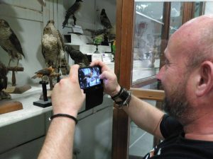 Foto del artículo «Mejoras en la colección de aves del Museo Aguilar y Eslava»