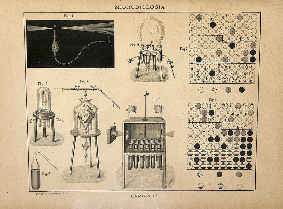 Foto 4 de 6 del artículo «Tratado de microbiología por Tyndall, Macé, Pasteur, etc., traducido por Francisco…»