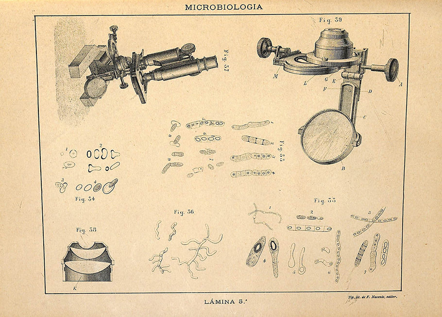 Foto 5 de 6 del artículo «Tratado de microbiología por Tyndall, Macé, Pasteur, etc., traducido por Francisco…»