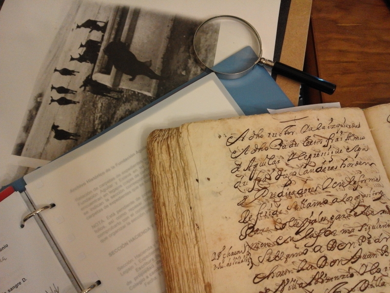 Foto del artículo «Avanzan los trabajos de clasificación en el archivo histórico Aguilar y Eslava»