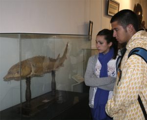 Foto del artículo «Grupo de Trabajo de profesorado sobre el Museo Aguilar y Eslava como recurso educativo»