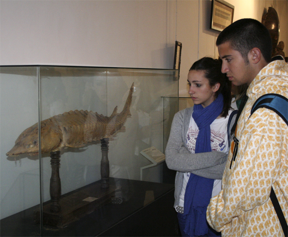 Foto del artículo «Grupo de Trabajo de profesorado sobre el Museo Aguilar y Eslava como recurso educativo»