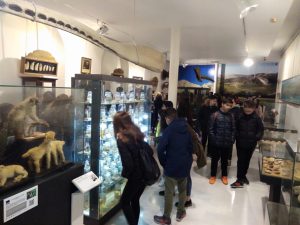 Foto del artículo «Visita de alumnado de institutos de Aguilar de la Frontera al Museo Aguilar y Eslava»