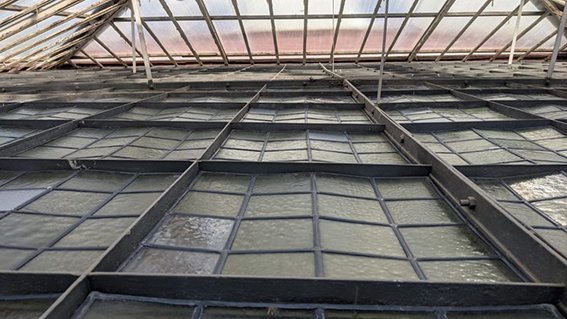 Foto 12 de 20 del artículo «Conservación-restauración de la vidriera artística del Patio de Cristales del…»